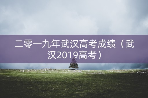 二零一九年武汉高考成绩（武汉2019高考）