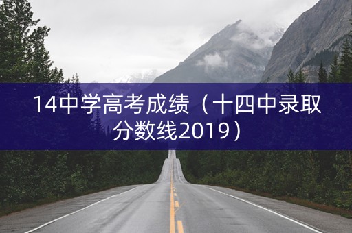 14中学高考成绩（十四中录取分数线2019）