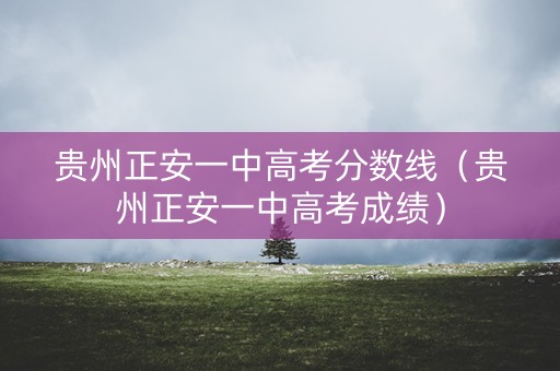 贵州正安一中高考分数线（贵州正安一中高考成绩）
