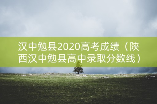 汉中勉县2020高考成绩（陕西汉中勉县高中录取分数线）