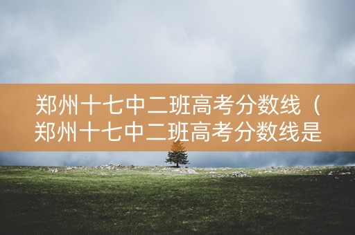 郑州十七中二班高考分数线(郑州十七中二班高考分数线是多少) 郑州十七中二班高考分数线(郑州十七中二班高考分数线是多少)