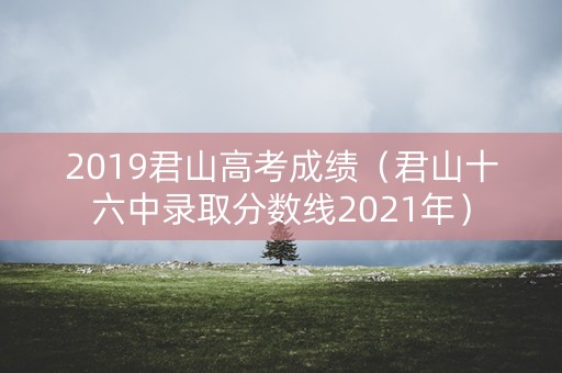 2019君山高考成绩（君山十六中录取分数线2021年）