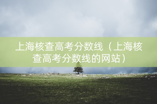 上海核查高考分数线（上海核查高考分数线的网站）