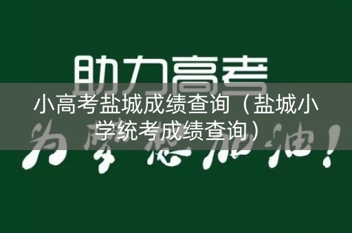 小高考盐城成绩查询（盐城小学统考成绩查询）