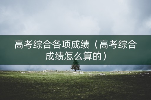 高考综合各项成绩（高考综合成绩怎么算的）