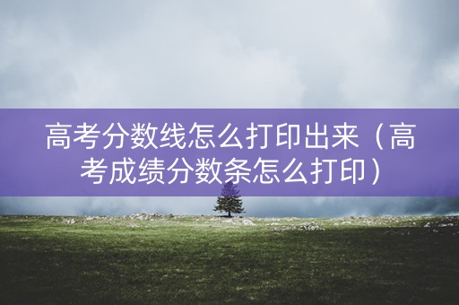 高考分数线怎么打印出来(高考成绩分数条怎么打印) 高考分数线怎么打印出来(高考成绩分数条怎么打印)