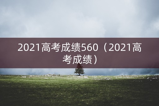 2021高考成绩560（2021高考成绩）