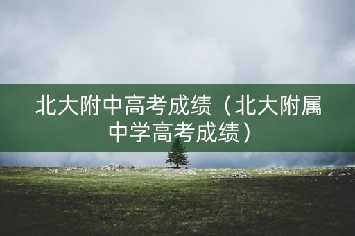 北大附中高考成绩（北大附属中学高考成绩）