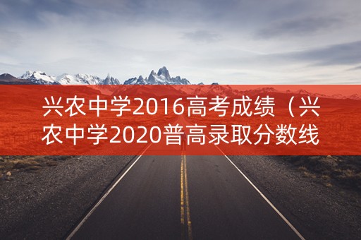 兴农中学2016高考成绩（兴农中学2020普高录取分数线）