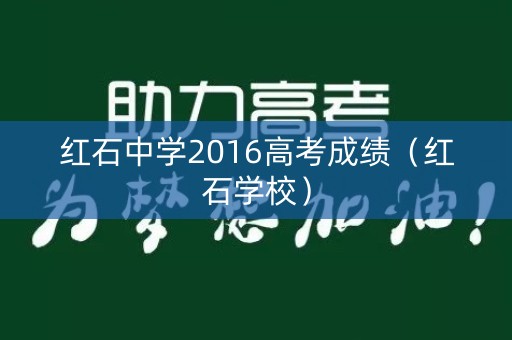 红石中学2016高考成绩（红石学校）