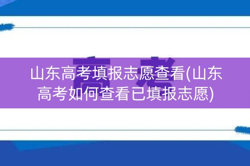 山东高考填报志愿查看(山东高考如何查看已填报志愿)