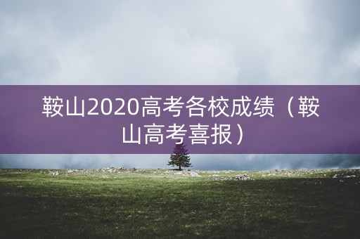 鞍山2020高考各校成绩（鞍山高考喜报）