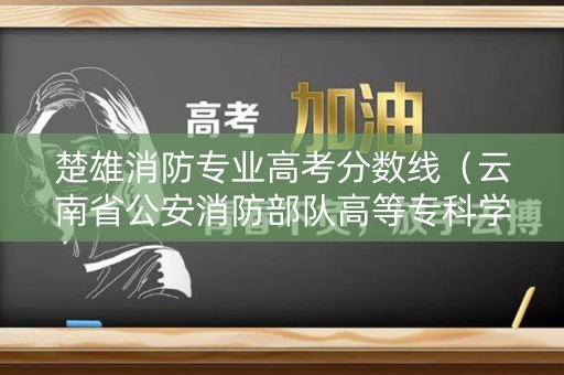 楚雄消防专业高考分数线（云南省公安消防部队高等专科学校录取分数线）