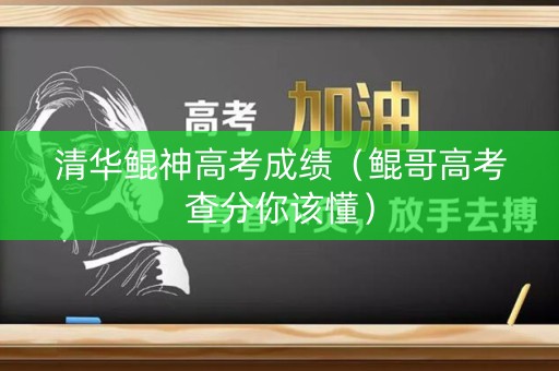 清华鲲神高考成绩（鲲哥高考查分你该懂）