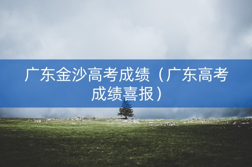 广东金沙高考成绩(广东高考成绩喜报) 广东金沙高考成绩(广东高考成绩喜报)