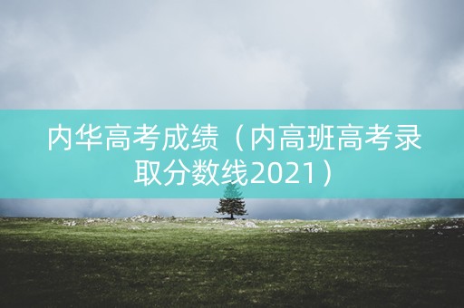 内华高考成绩（内高班高考录取分数线2021）
