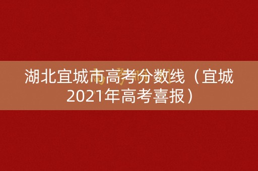 湖北宜城市高考分数线（宜城2021年高考喜报）