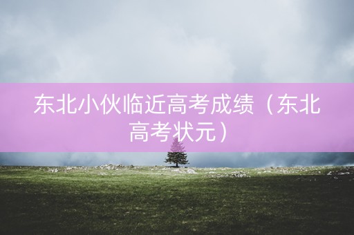 东北小伙临近高考成绩（东北高考状元）