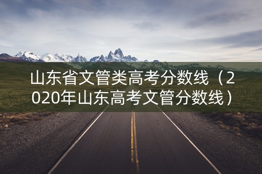 山东省文管类高考分数线（2020年山东高考文管分数线）