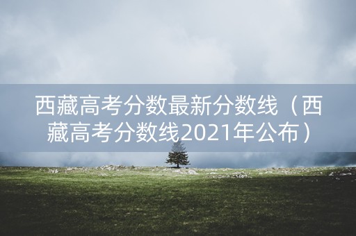 西藏高考分数最新分数线（西藏高考分数线2021年公布）