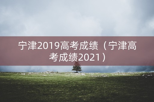 宁津2019高考成绩（宁津高考成绩2021）
