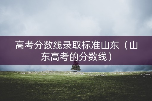 高考分数线录取标准山东(山东高考的分数线) 高考分数线录取标准山东(山东高考的分数线)