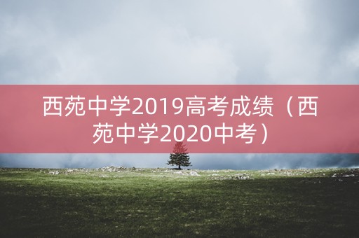 西苑中学2019高考成绩（西苑中学2020中考）