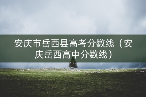安庆市岳西县高考分数线（安庆岳西高中分数线）
