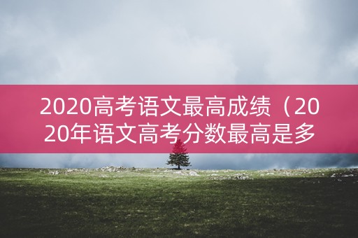 2020高考语文最高成绩（2020年语文高考分数最高是多少）