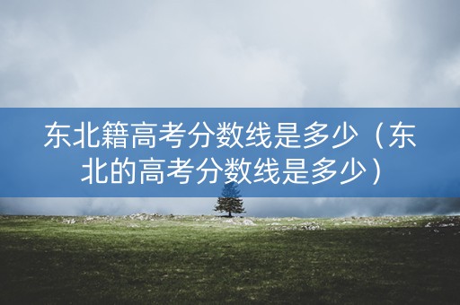 东北籍高考分数线是多少（东北的高考分数线是多少）