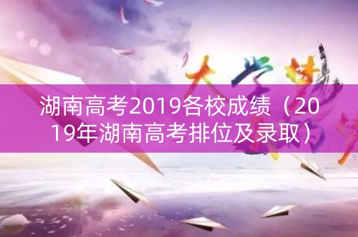 湖南高考2019各校成绩（2019年湖南高考排位及录取）