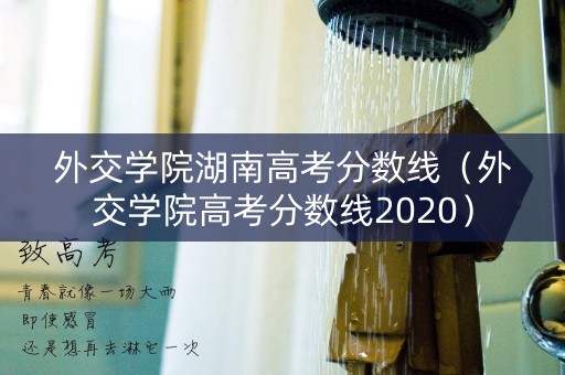 外交学院湖南高考分数线（外交学院高考分数线2020）
