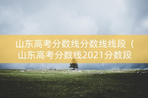 山东高考分数线分数线线段(山东高考分数线2021分数段) 山东高考分数线分数线线段(山东高考分数线2021分数段)