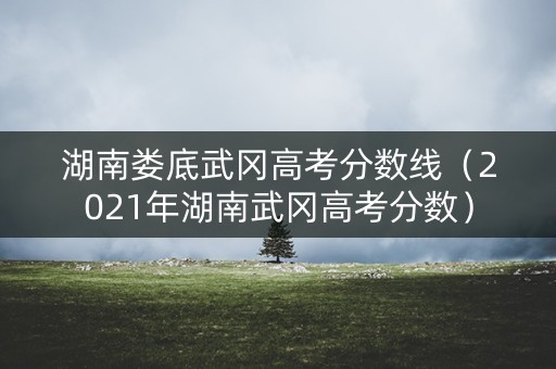 湖南娄底武冈高考分数线（2021年湖南武冈高考分数）