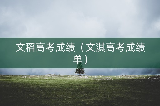 文稻高考成绩（文淇高考成绩单）