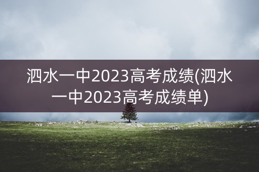 泗水一中2023高考成绩(泗水一中2023高考成绩单)