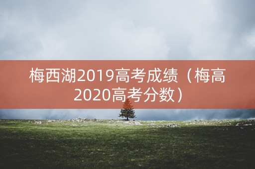 梅西湖2019高考成绩（梅高2020高考分数）