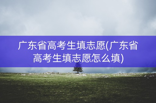 广东省高考生填志愿(广东省高考生填志愿怎么填)