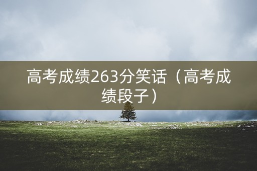 高考成绩263分笑话（高考成绩段子）