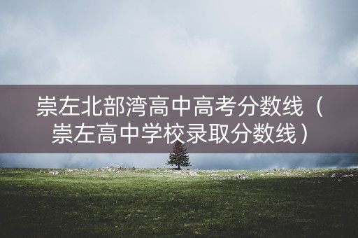 崇左北部湾高中高考分数线（崇左高中学校录取分数线）