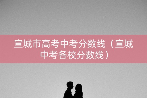宣城市高考中考分数线（宣城中考各校分数线）