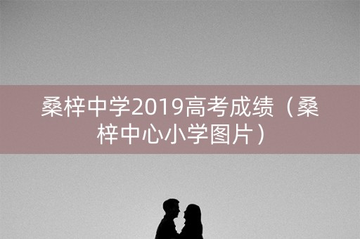 桑梓中学2019高考成绩（桑梓中心小学图片）