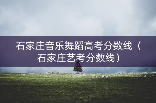 石家庄音乐舞蹈高考分数线（石家庄艺考分数线）