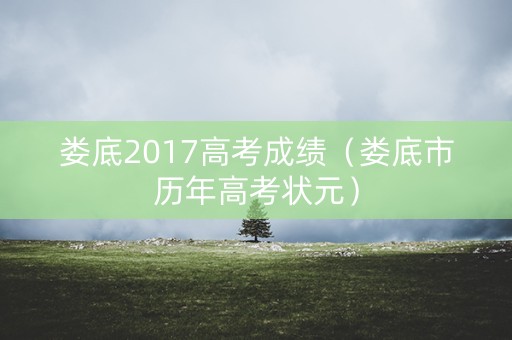 娄底2017高考成绩（娄底市历年高考状元）