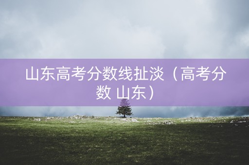 山东高考分数线扯淡（高考分数 山东）