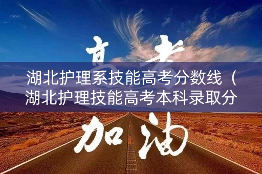 湖北护理系技能高考分数线（湖北护理技能高考本科录取分数线）