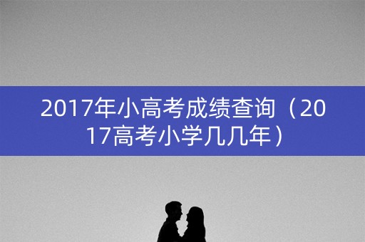 2017年小高考成绩查询（2017高考小学几几年）