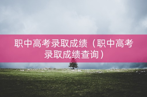 职中高考录取成绩（职中高考录取成绩查询）