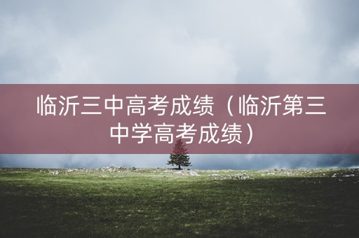 临沂三中高考成绩（临沂第三中学高考成绩）