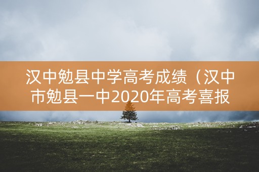 汉中勉县中学高考成绩（汉中市勉县一中2020年高考喜报）